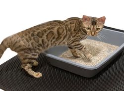 Килимок Eva універсальний 50х40 ромб